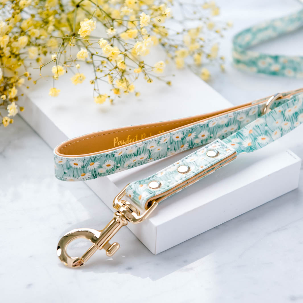 Sweet Like Honey - Daisy Fields vegan leather dog lead.