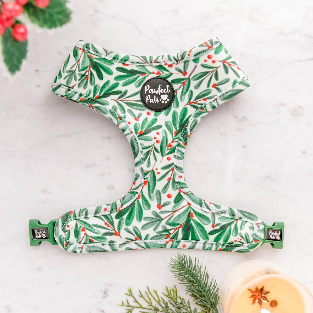 Deck the Paws reversible harness - Mistletoe design.