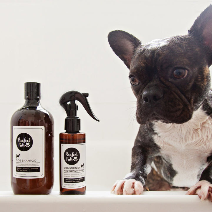 AmbassaDOG with Pawfect Pals shampoo and conditioner.