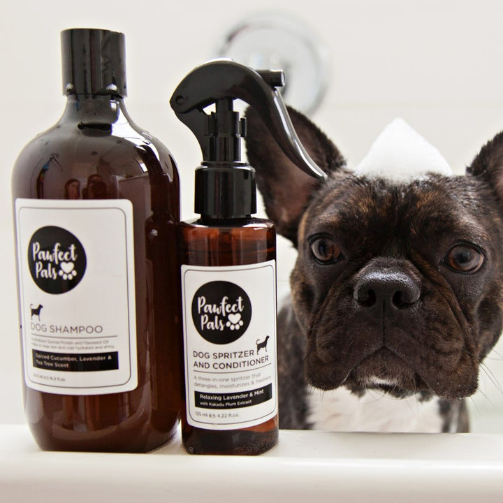 AmbassaDOG with Pawfect Pals dog shampoo and conditioner.