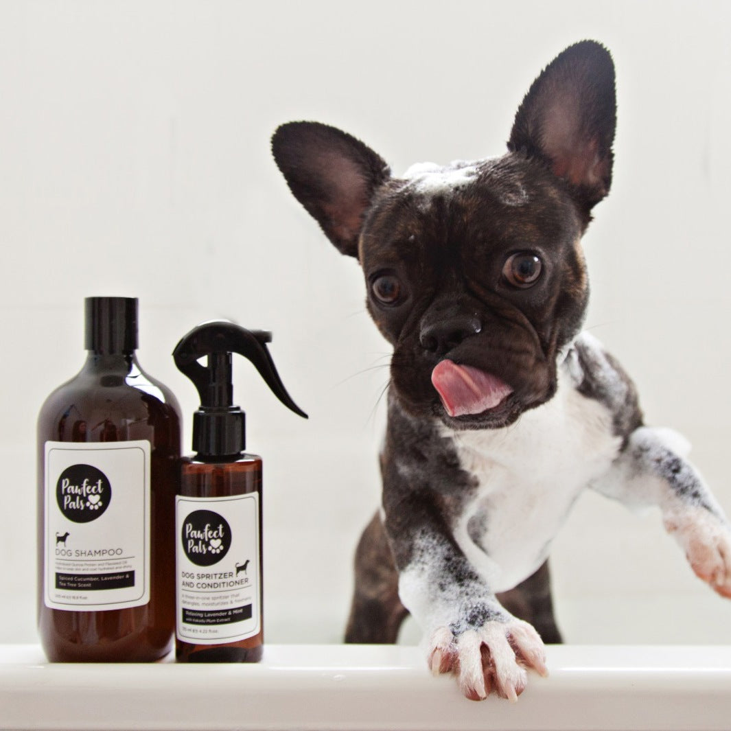 AmbassaDOG with the Pawfect Pals dog shampoo and conditioner.