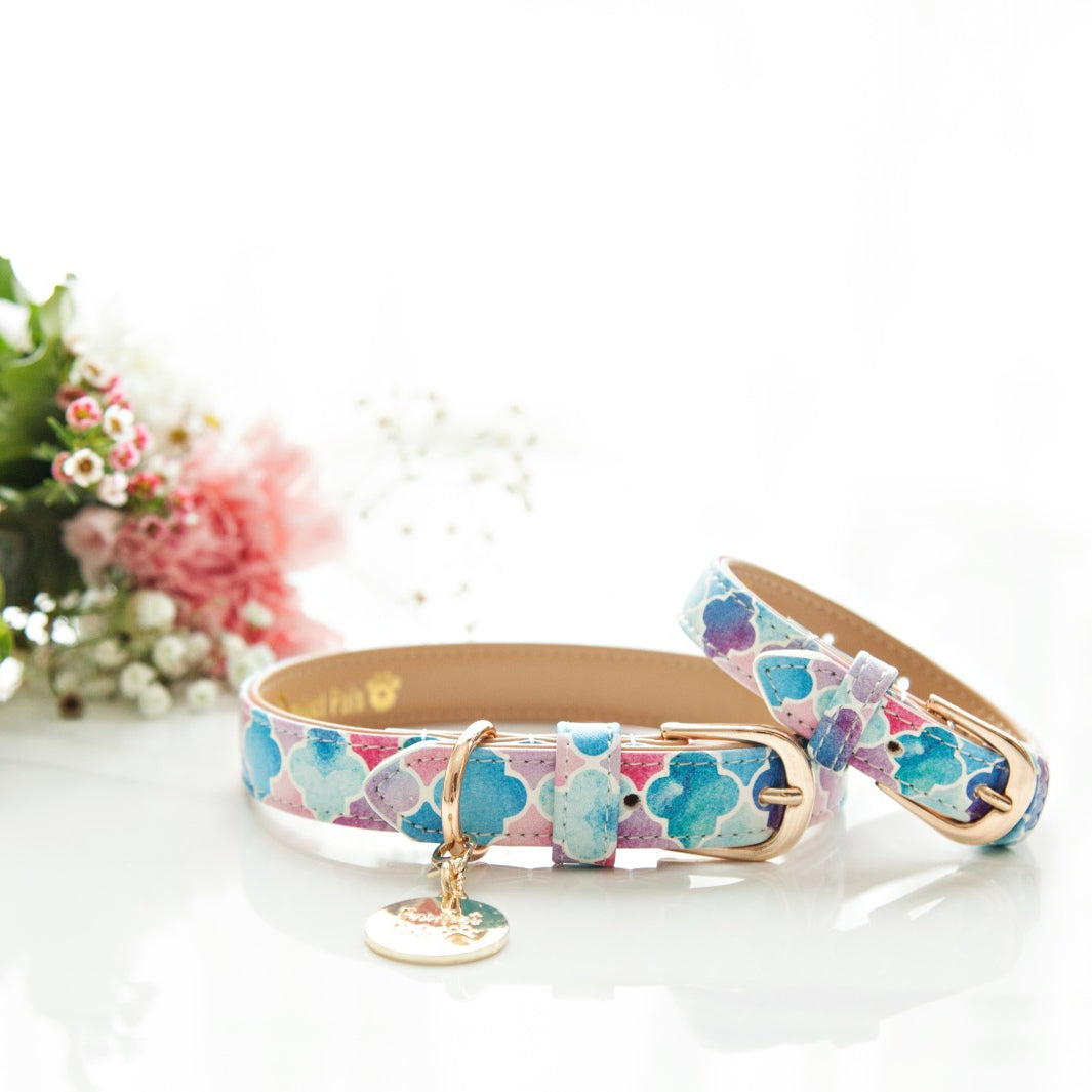 AmbassaDOG in Don't Quit Your Daydream - Enchanted dog collar with matching bracelet.