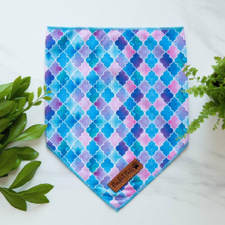 Don't Quit Your Daydream - Enchanted cooling bandana.