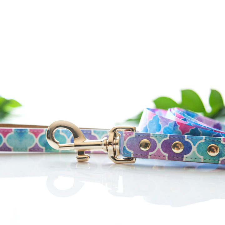 Don't Quit Your Daydream - Enchanted vegan leather dog lead.