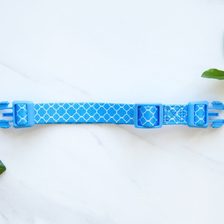 Don't Quit Your Daydream reversible harness alternate-size waist strap.