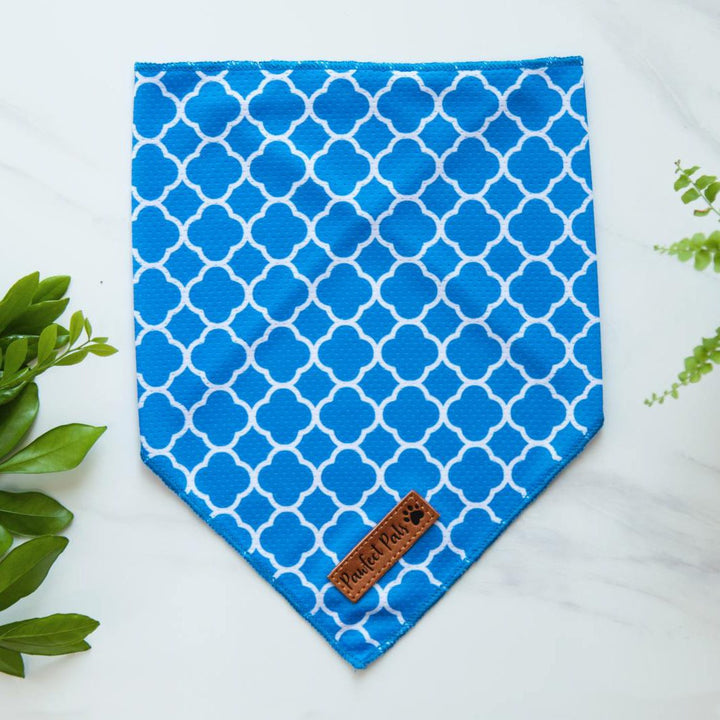 Don't Quit Your Daydream - Peaceful cooling bandana.