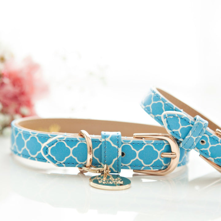 Don't Quit Your Daydream - Peaceful bracelet and matching collar.