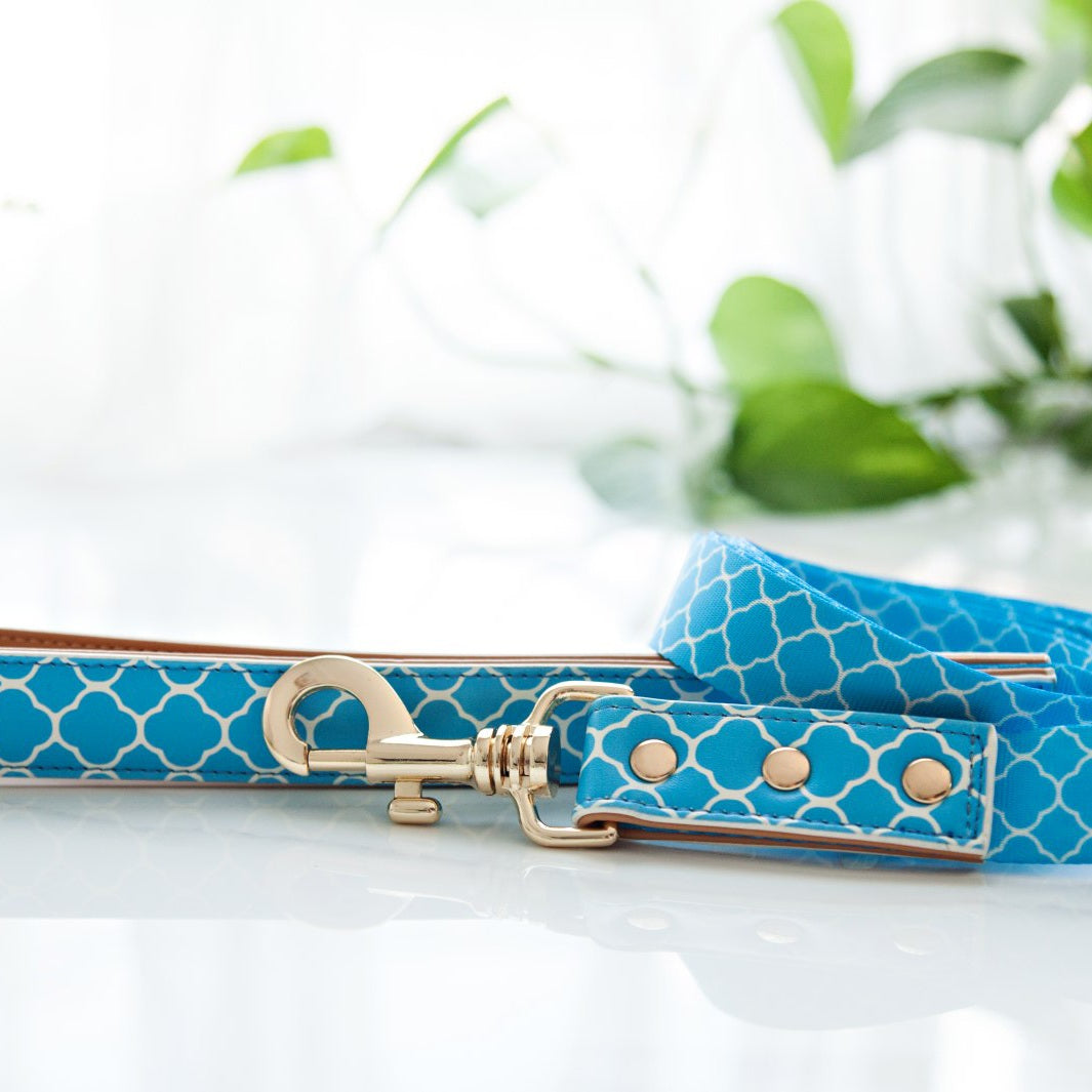 Don't Quit Your Daydream - Peaceful vegan leather dog lead.