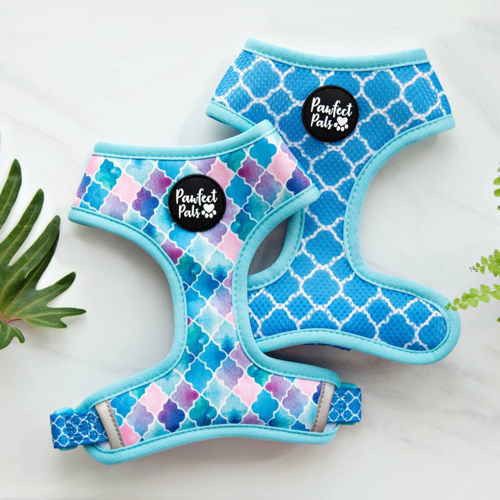 Don't Quit Your Daydream reversible harness.