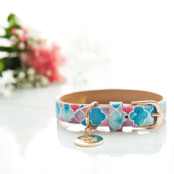 Don't Quit Your Daydream - Enchanted vegan leather dog collar.