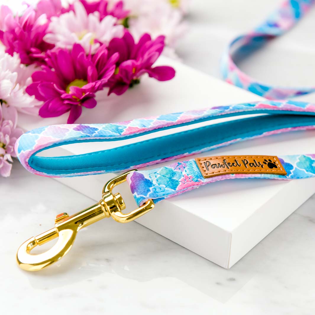 Don't Quit Your Daydream - Enchanted soft lead for dogs.