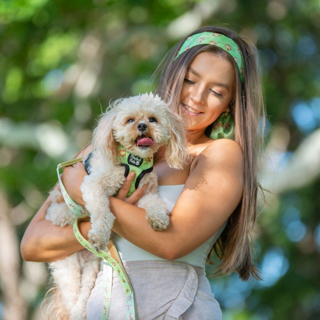 Chloe and AmbassaDOG Yogi wearing the Don't Worry, Don't Hurry hair ribbon, reversible harness and lead.