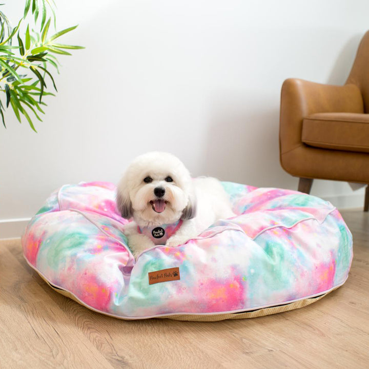 AmbassaDOG Ted in the Dreamy Days cuddle bud dog bed.