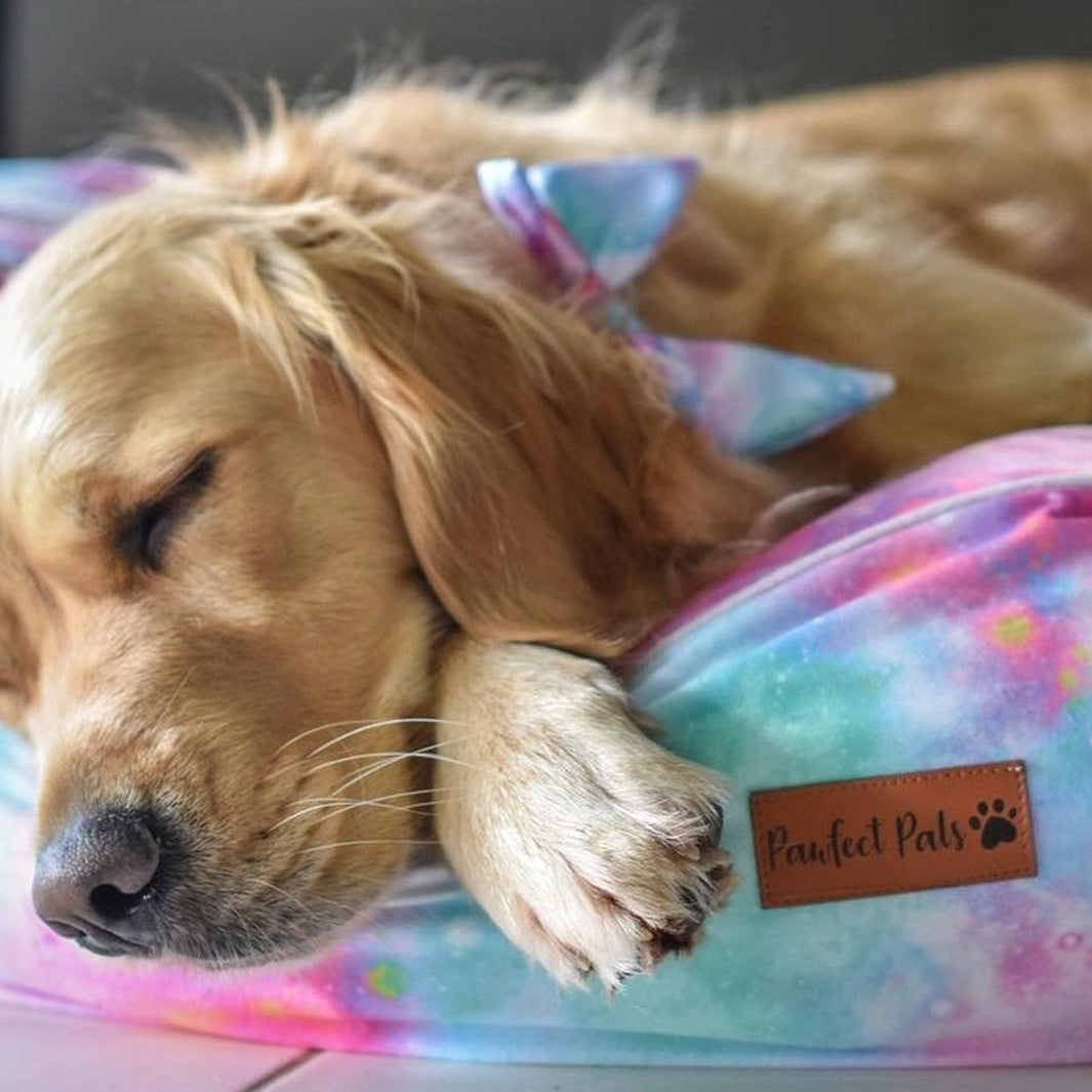 AmbassaDOG sleeping soundly in the AmbassaDOG Ted in the Dreamy Days cuddle bud dog bed.