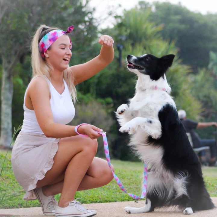 Chloe and AmbassaDOG in Dreamy Days hair ribbon, collar and lead.