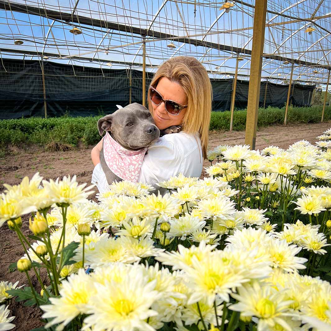 AmbassaDOG Peggy in the Dusty Pink cotton bandana.