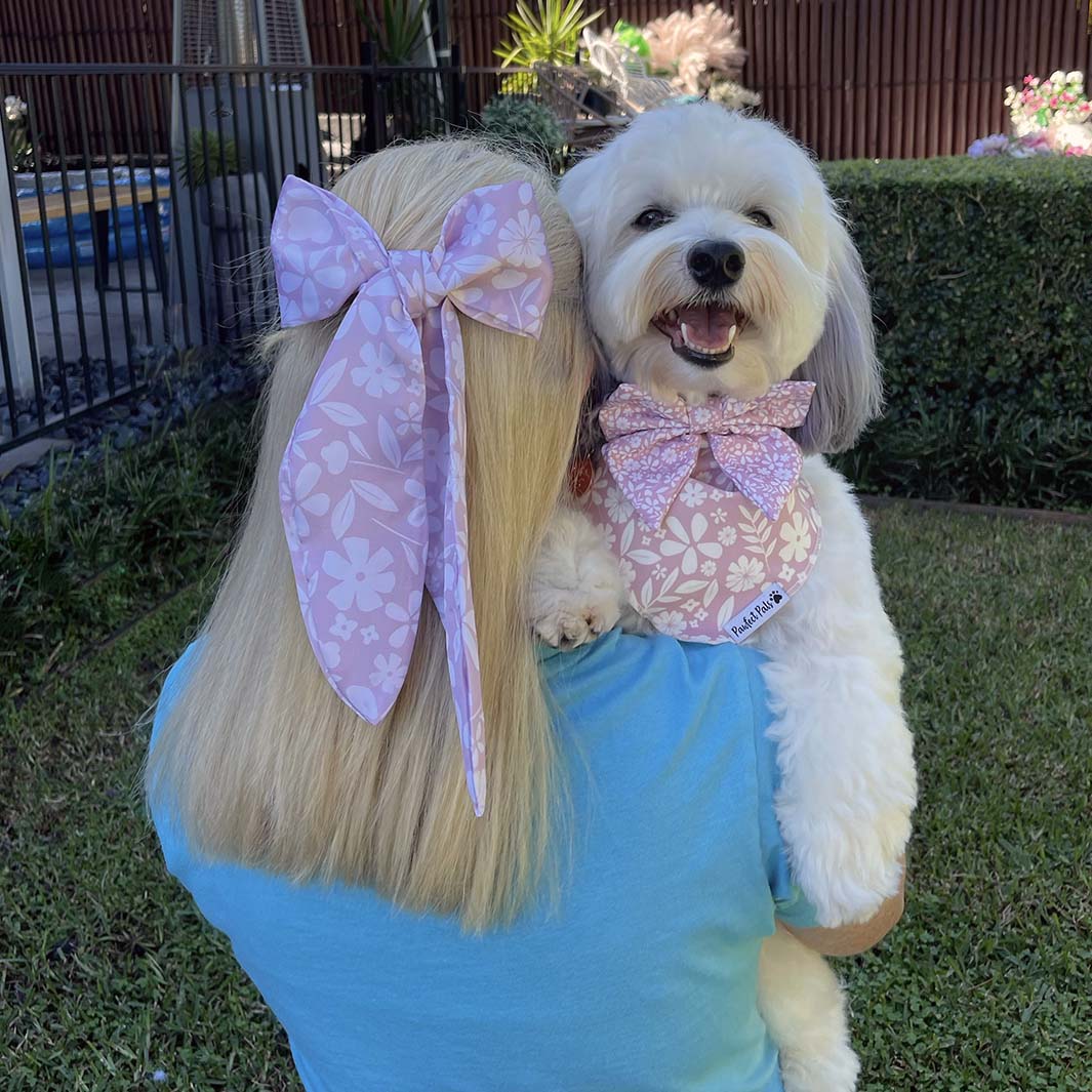 AmbassaDOG Ted's fur-mama wears the Dusty Pink hair ribbon.