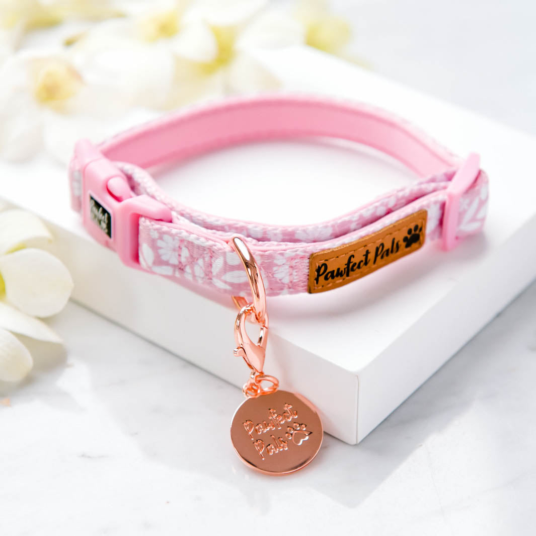 Precious Petal - Dusty Pink soft collar.