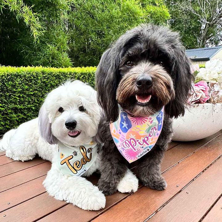 AmbassaDOG Piper in her Got it Glowin' On - Beach Vibes personalised cotton bandana.