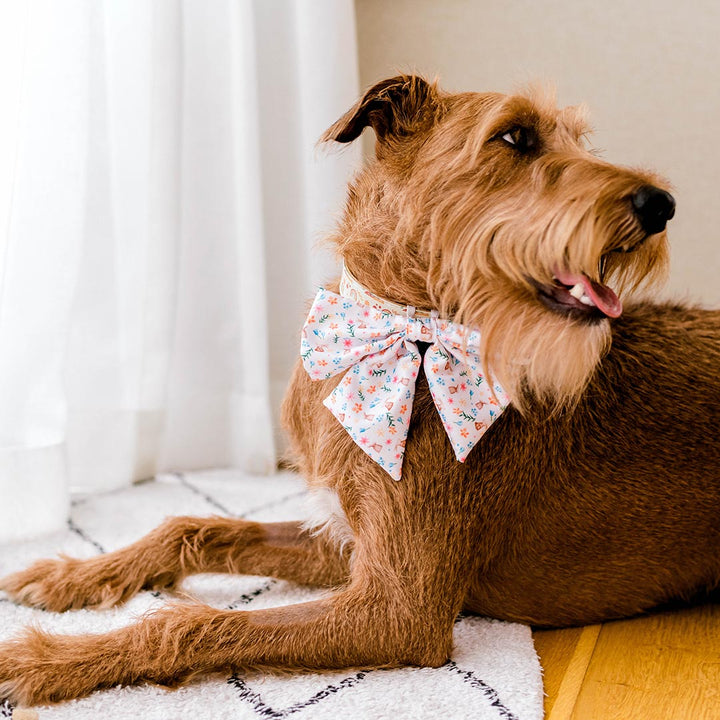 AmbassaDOG Henry in his Hippity Hoppity Easter sailor bow tie.