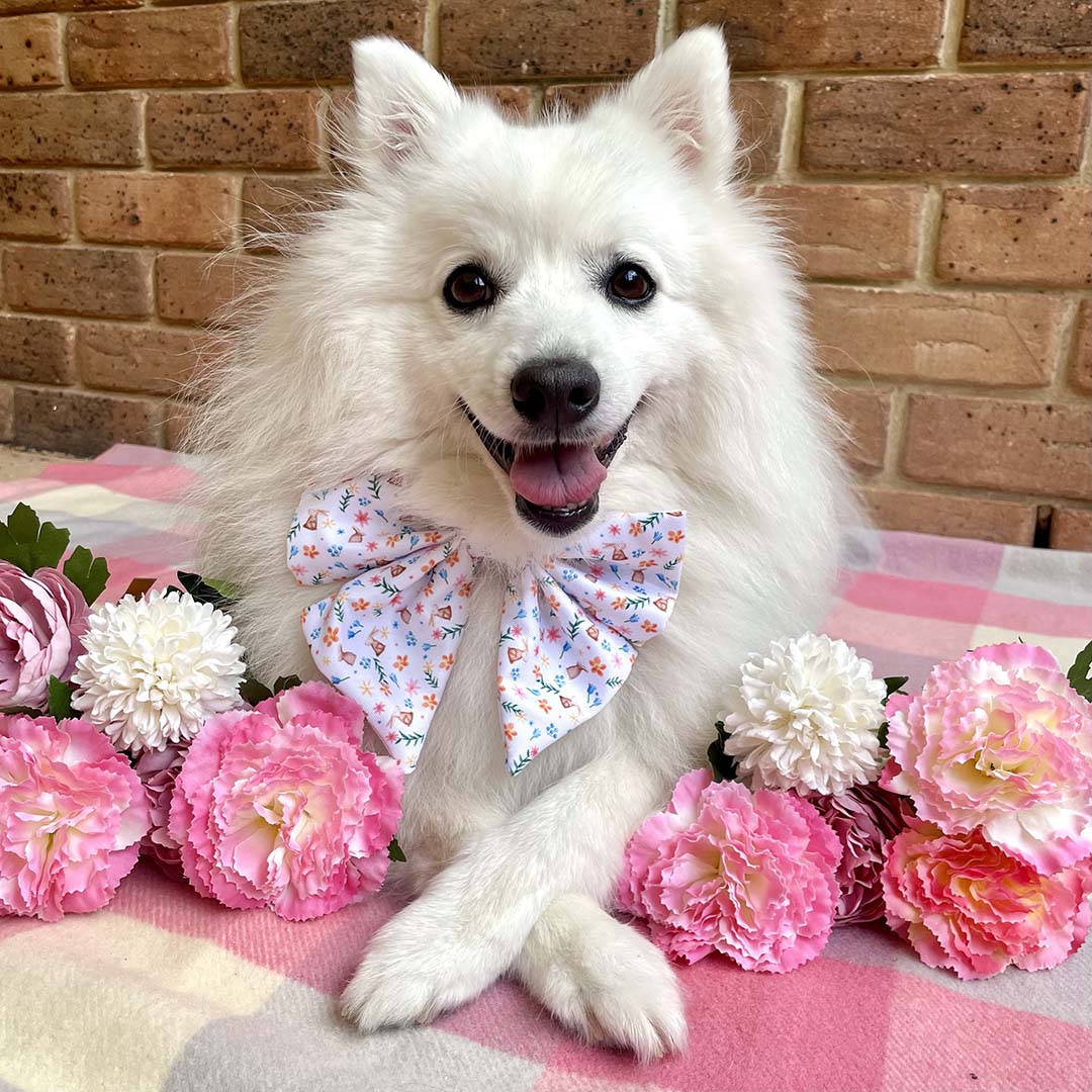 AmbassaDOG Kumo in their Hippity Hoppity Easter sailor bow tie.
