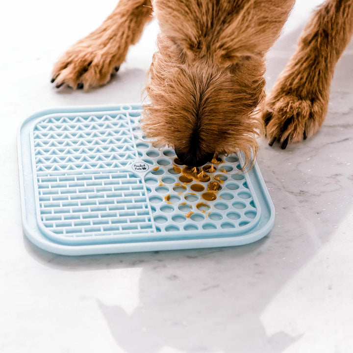 Henry enjoying a treat on his Licki Mat.