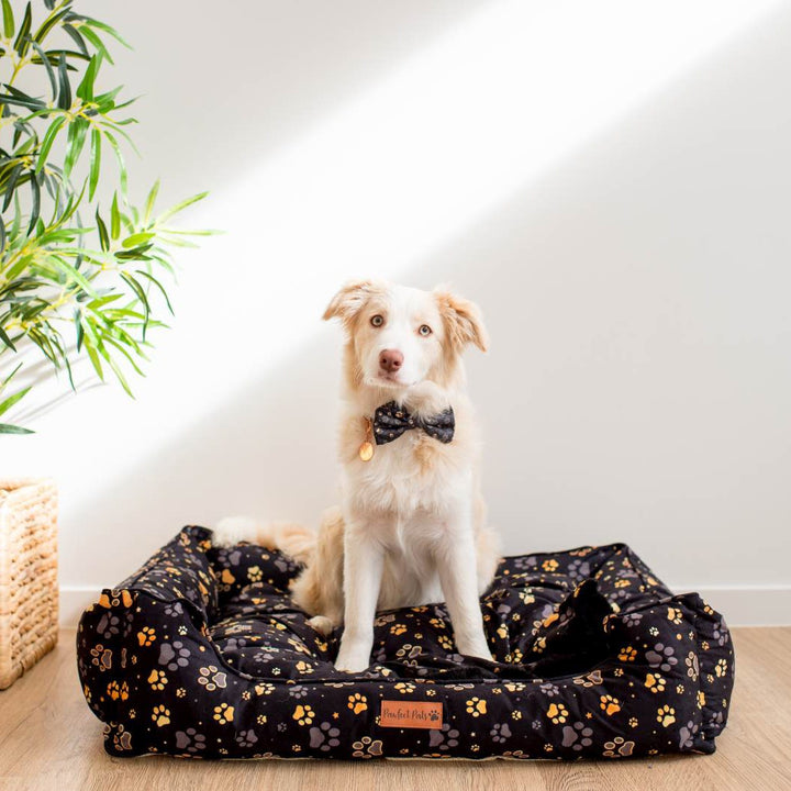 AmbassaDOG in the I Love You BEARy Much snuggle bud dog bed.