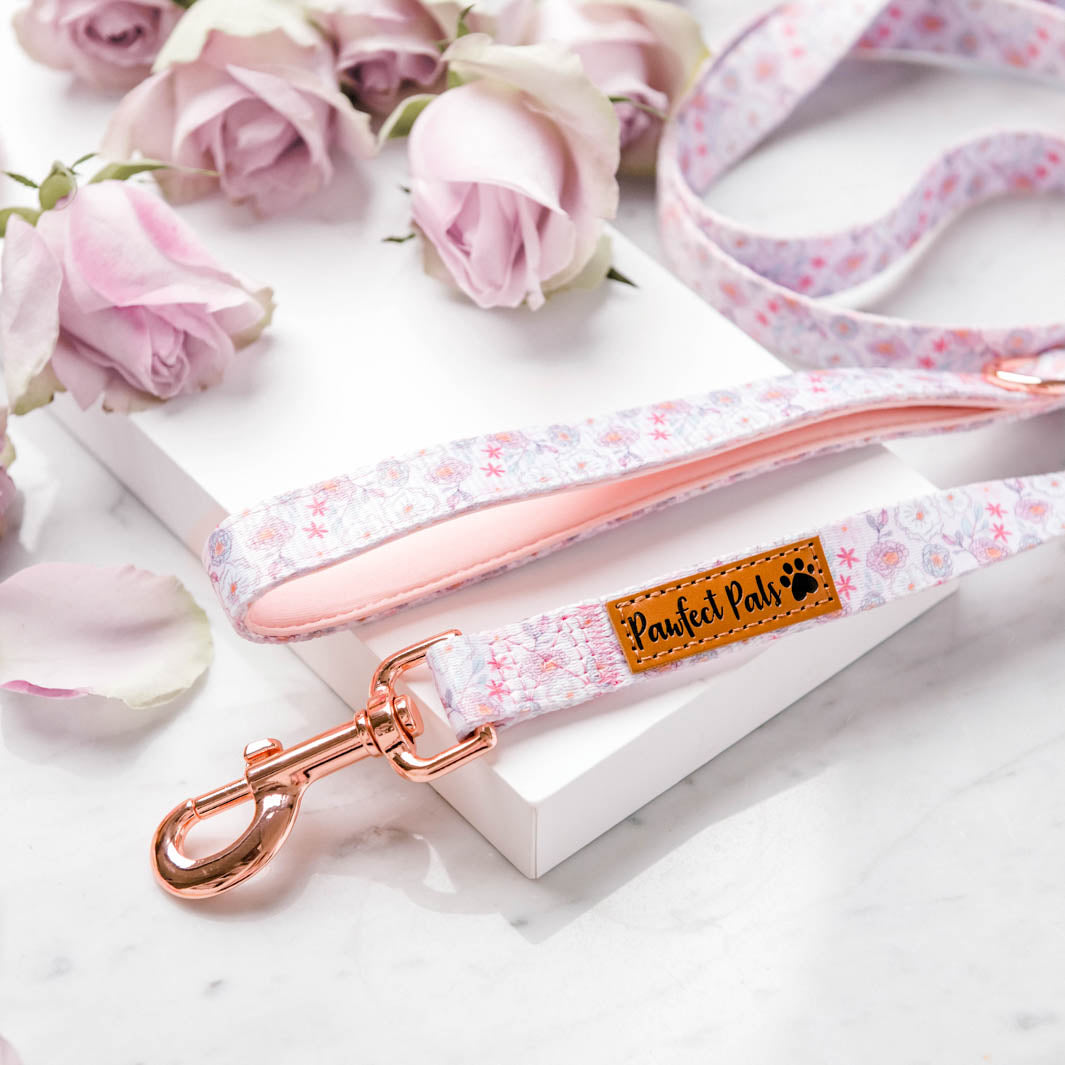 Precious Petal - Pastels soft lead.