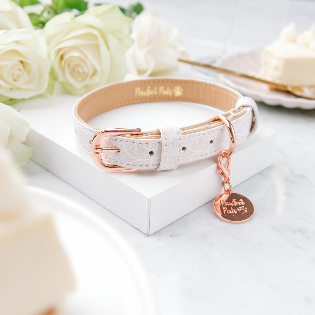 Pawfect Celebrations - Lace vegan leather dog collar.