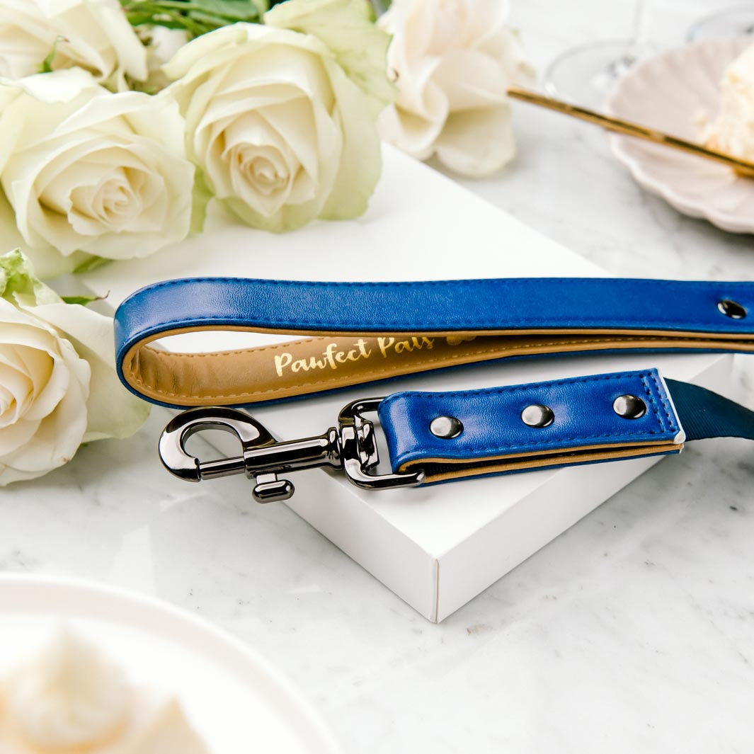 Pawfect Celebrations - Navy vegan leather dog lead.