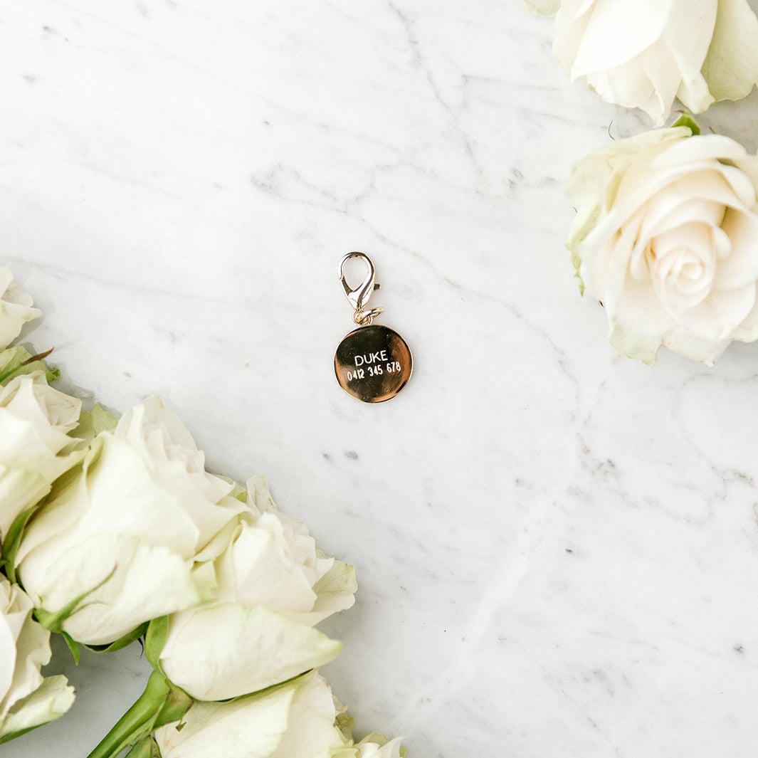 Pawfect Pals engraved dog tag in gold.