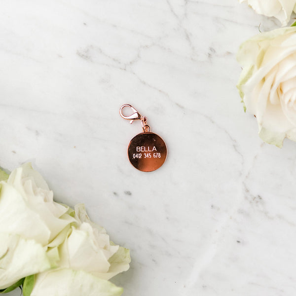 Personalised dog shop tags afterpay
