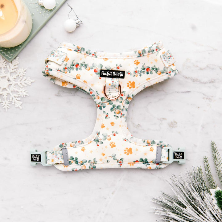 Christmas Wishes & Puppy Kisses - Paws & Stars no-pull adjustable harness.