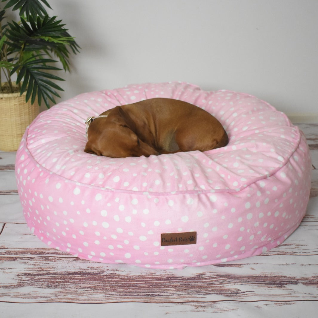 AmbassaDOG sleeping on the Think Pretty Thoughts - Pink Dots cuddle bud dog bed.