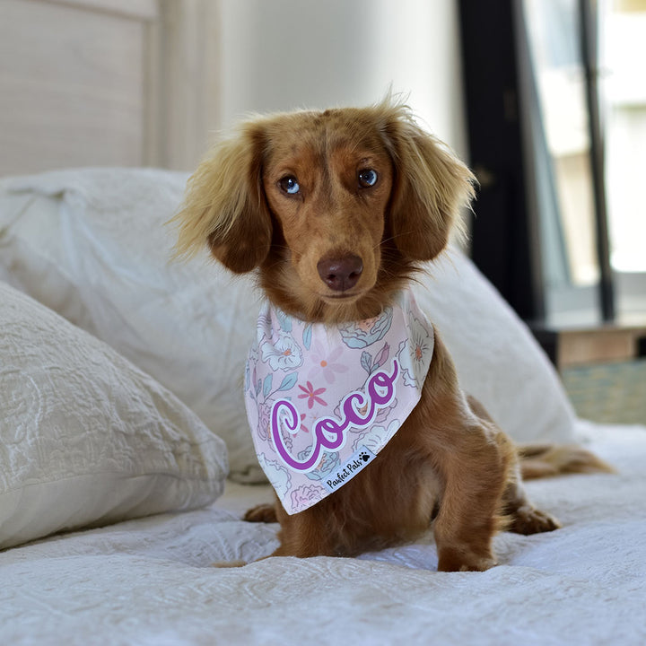 AmbassaDOG Coco in her Precious Petal - Pastels personalised cotton bandana.