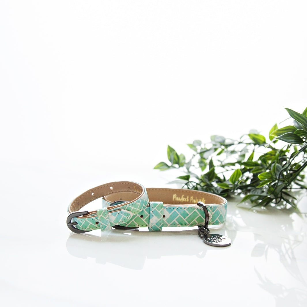 Raise the Woof - Geometric collar with matching bracelet.