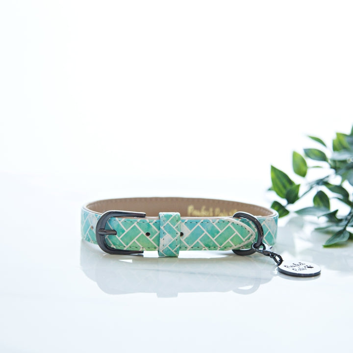 Raise the Woof - Geometric vegan leather dog collar.