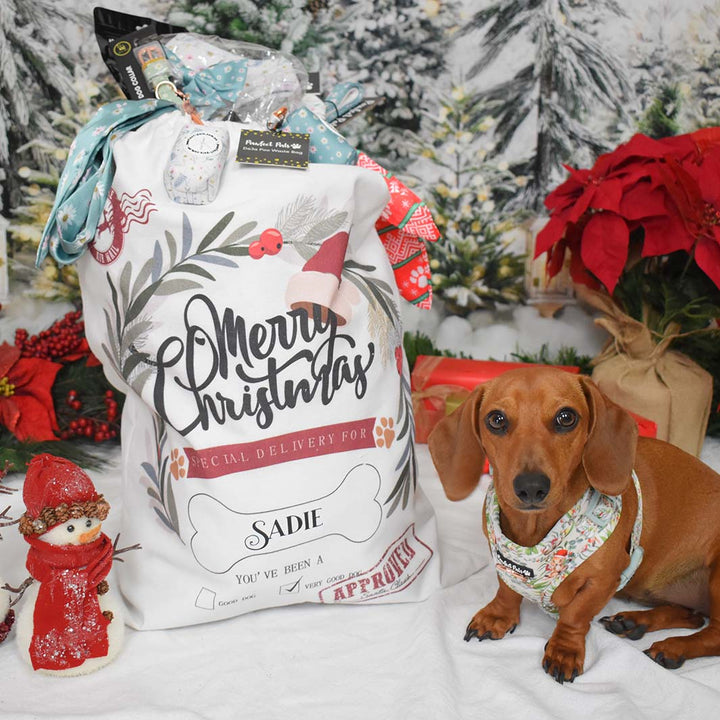 AmbassaDOG Sadie with her personalised Santa sack. Accessories not included.