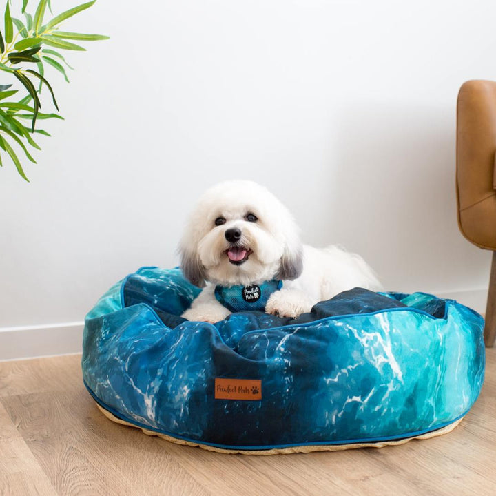 AmbassaDOG Ted on the Shell Yeah - Ocean Waves cuddle bud dog bed in small.