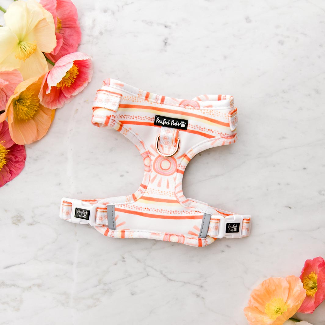 Sunkissed no-pull adjustable harness.