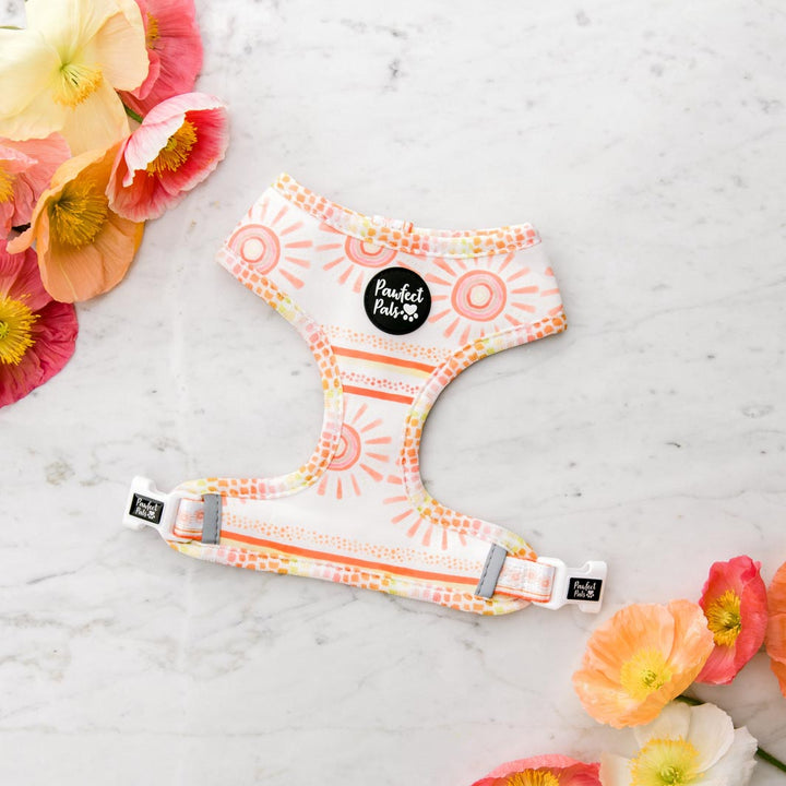Sunkissed reversible harness.