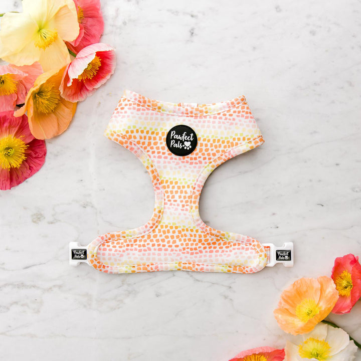 Sunkissed reversible harness.