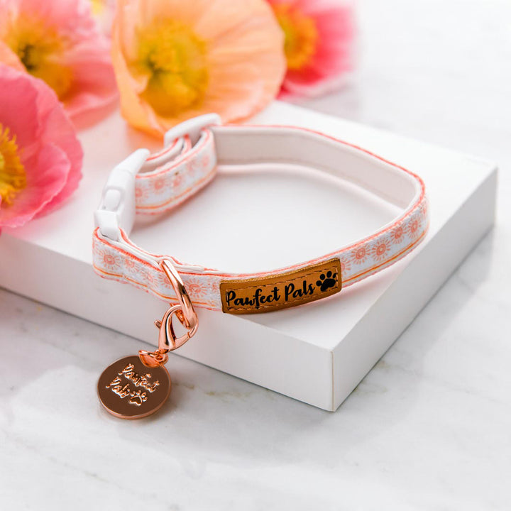 Sunkissed soft collar.
