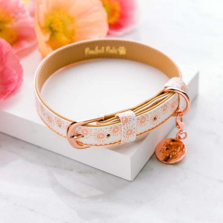 Sunkissed vegan leather dog collar.
