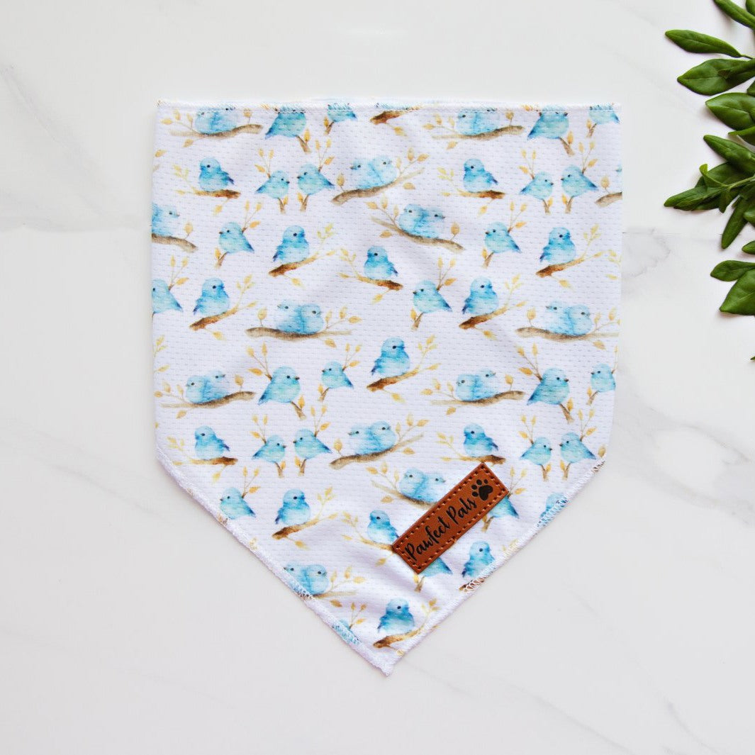 Sunshine on my Mind - Birds bandana.