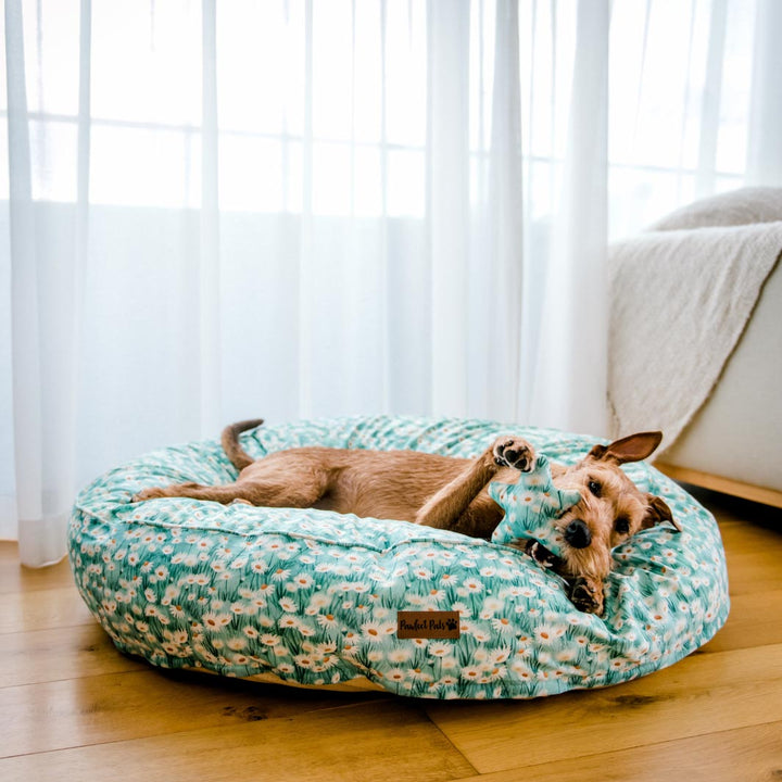 Henry on his Sweet Like Honey - Daisy Fields cuddle bud dog bed in large.