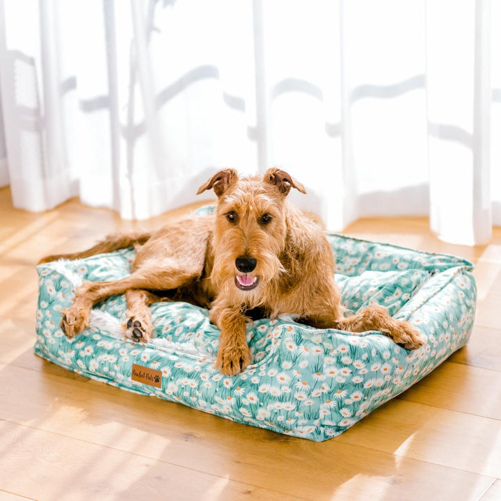 Henry relaxing on the Sweet Like Honey Snuggle Bud dog bed in large.