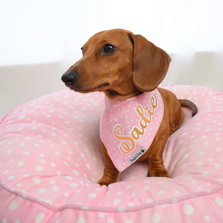 AmbassaDOG Sadie in her Think Pretty Thoughts - Pink Dots personalised cotton bandana.