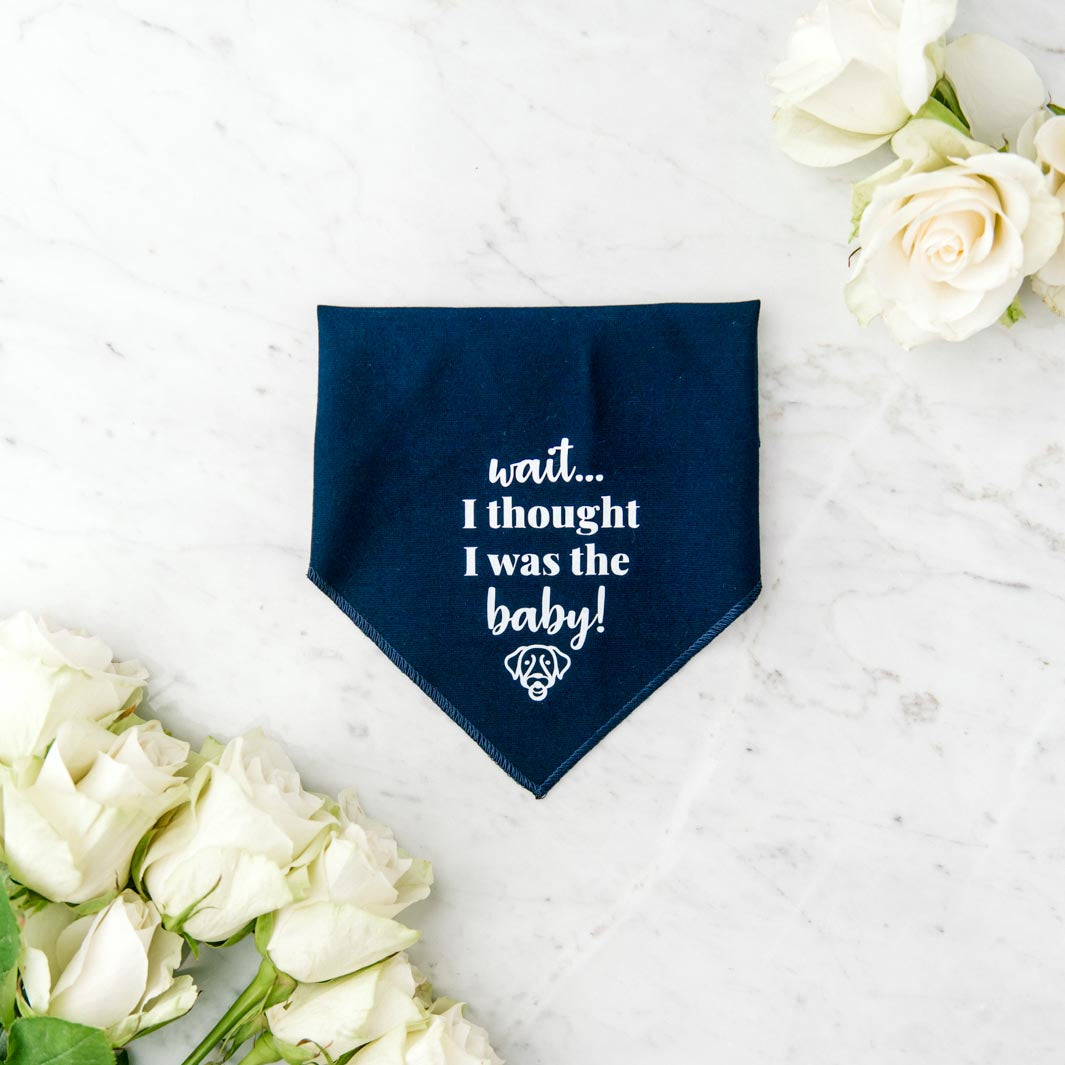 "Wait... I thought I was the baby!" Pawfect Celebrations navy bandana.