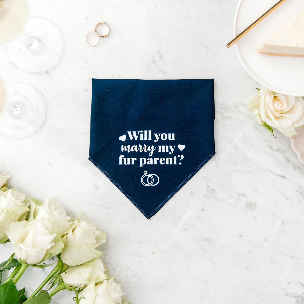 "Will you marry my fur parent?" (italics) - Pawfect Celebrations navy bandana.